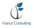 Détails : France Consulting