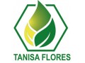 Détails : Tanisa Flores – Huiles essentielles 100 % naturelles de Madagascar