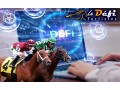 Détails : Défi Turf 