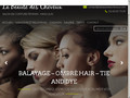 Détails : La Beauté des Cheveux