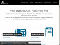 Détails : Téléphonie et internet pour les pros