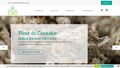 Détails : Flavour CBD