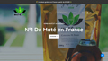 Maté