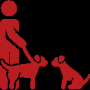 Détails : Dressage chien