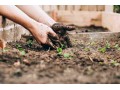 Détails : Carre potager sur pied : Comparatifs, design, fonctionnalites, conseils...