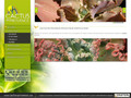 Détails : Plantes grasses
