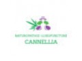 Détails : Cannellia naturopathie luxopuncture
