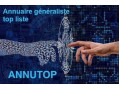 Détails : Annutop un annuaire de sites web et une top liste