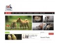 Détails : Compagnie des animaux