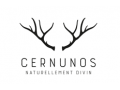 Détails : Cernunos: Naturellement divin!