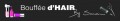 Détails : Bouffée d'Hair
