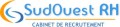 Détails : Offre d'emploi Toulouse