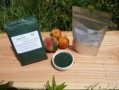 Détails : Spiruline Occitane, producteur spiruline et vente france, toulouse - Accueil