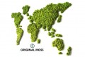Détails : Original Moss