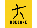 Détails : Agence web Kodeane