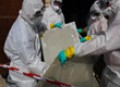 Détails : ABITALIS Expertise repérage Amiante