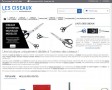 Détails : Boutique en ligne des ciseaux